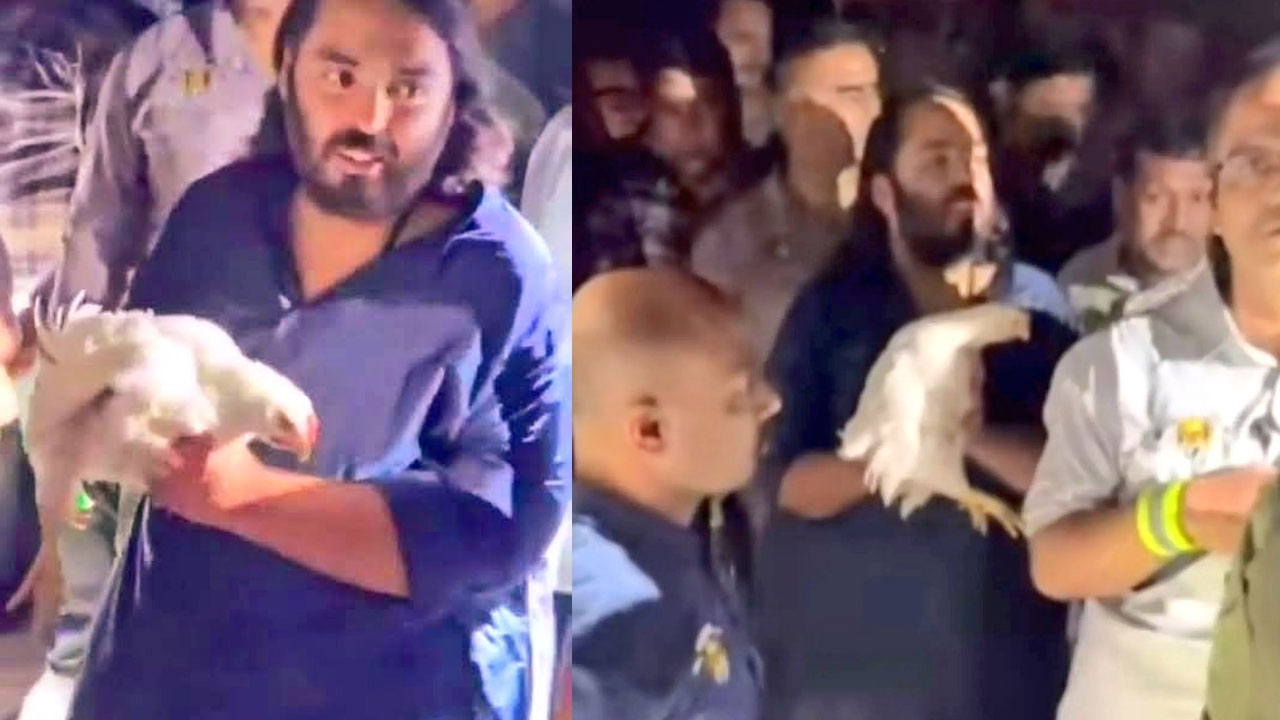 Anant Ambani: అంబానీ పాదయాత్ర.. 250 కోళ్లకు ప్రాణదానం Anant Ambani: అంబానీ పాదయాత్ర.. 250 కోళ్లకు ప్రాణదానం