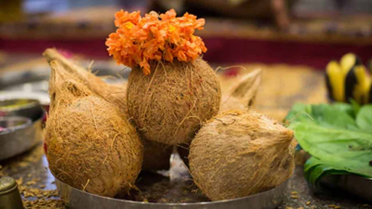 Coconut | కొబ్బరికాయ కుళ్లిపోతే అశుభానికి సంకేతమా..? పువ్వు వస్తే దేనికి సంకేతం..? Coconut | కొబ్బరికాయ కుళ్లిపోతే అశుభానికి సంకేతమా..? పువ్వు వస్తే దేనికి సంకేతం..?