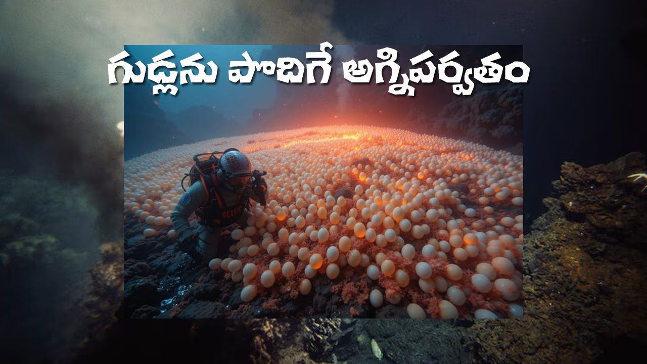 eggs found in volcano | వేల గుడ్లను పొదుగుతున్న అగ్నిపర్వతం? ఎక్కడ.. ఆ కథేంటి? eggs found in volcano | వేల గుడ్లను పొదుగుతున్న అగ్నిపర్వతం? ఎక్కడ.. ఆ కథేంటి?