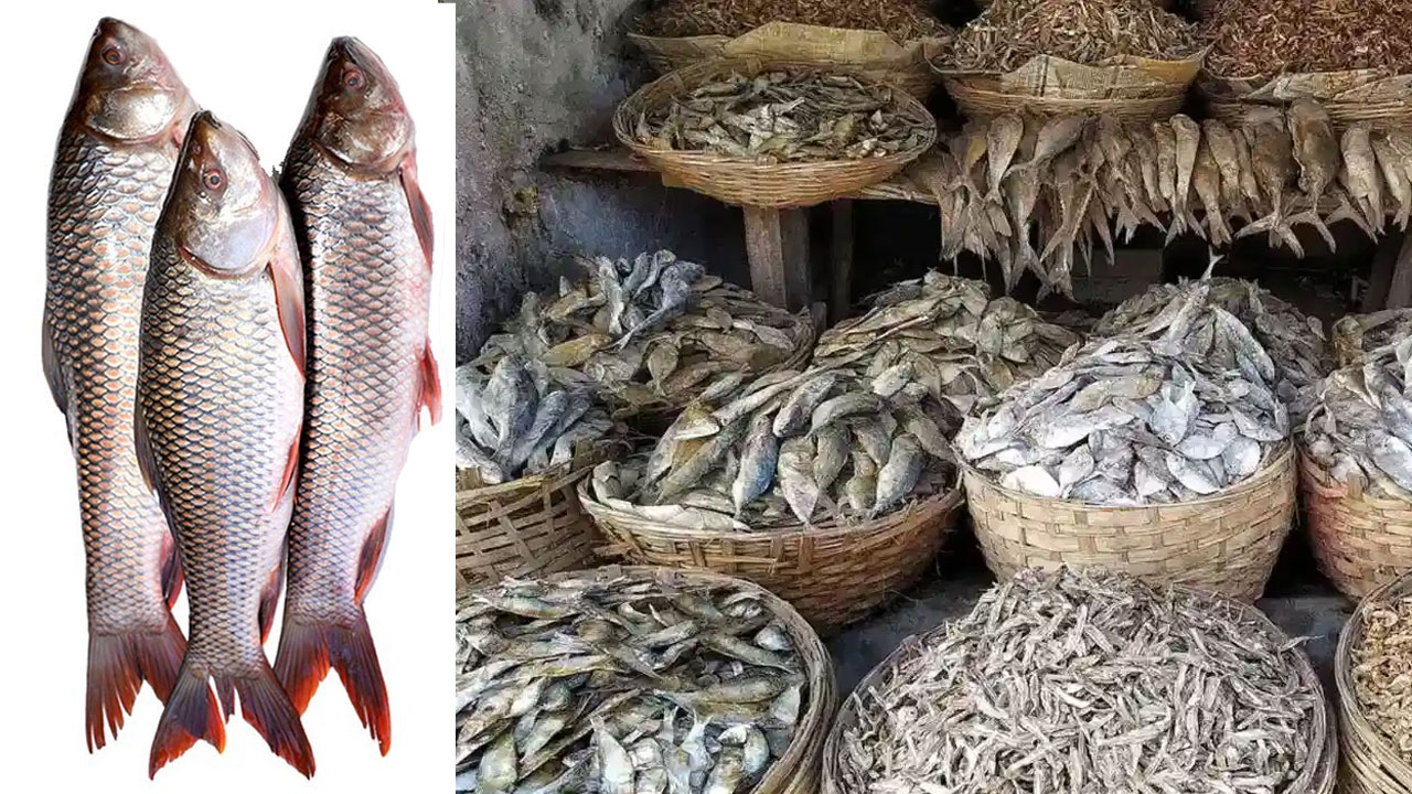Health: ఆరోగ్యానికి.. ఎండు చేపలు మంచివా లేక పచ్చివా? Health: ఆరోగ్యానికి.. ఎండు చేపలు మంచివా లేక పచ్చివా?