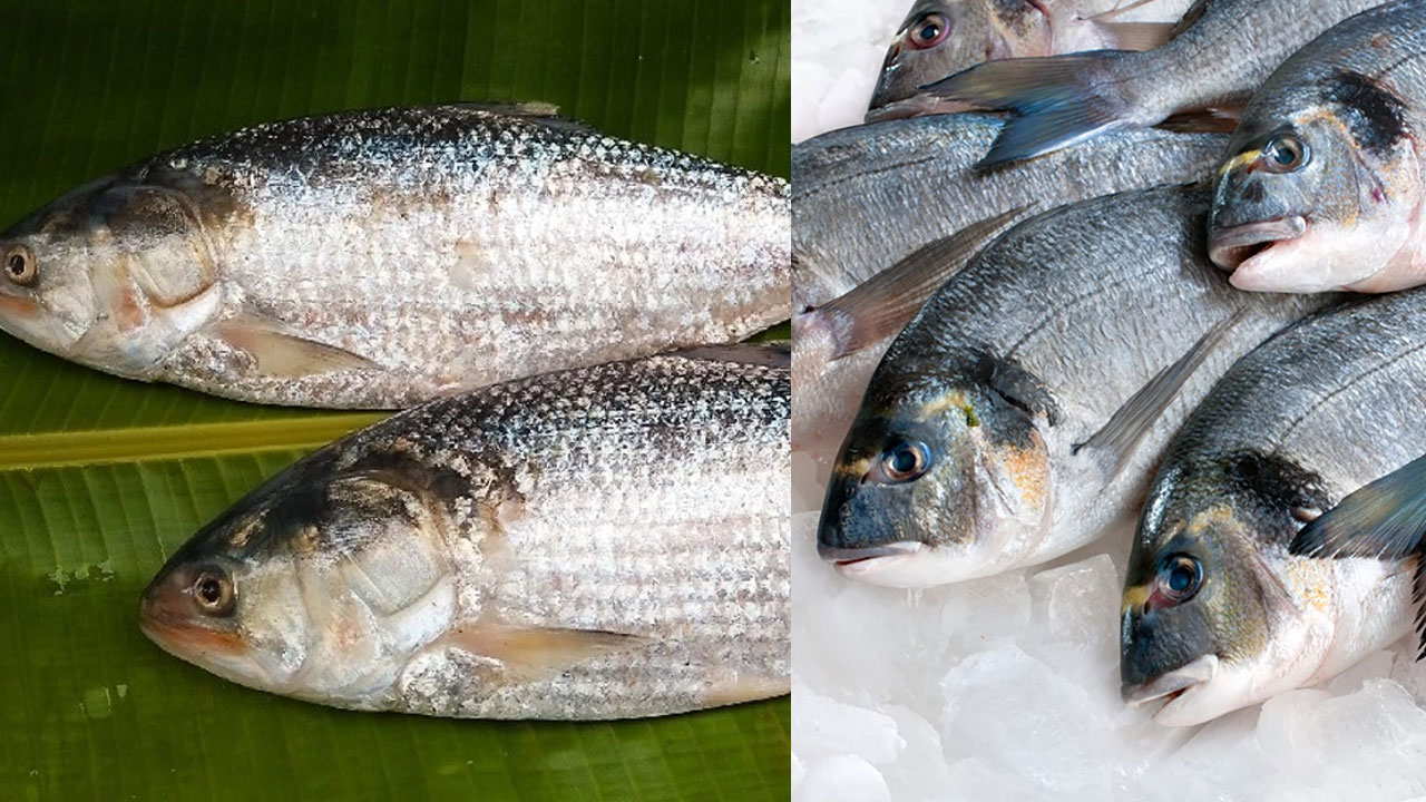 Fresh Fish: తాజా చేపలు.. గుర్తుపట్టండిలా.. Fresh Fish: తాజా చేపలు.. గుర్తుపట్టండిలా..
