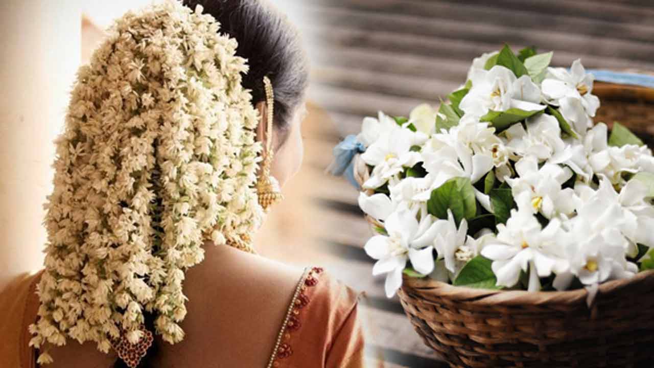 Jasmine Flower | తొలి రాత్రి.. మల్లెపూలతో మగాళ్లకు మత్తెక్కుతుందా..? Jasmine Flower | తొలి రాత్రి.. మల్లెపూలతో మగాళ్లకు మత్తెక్కుతుందా..?