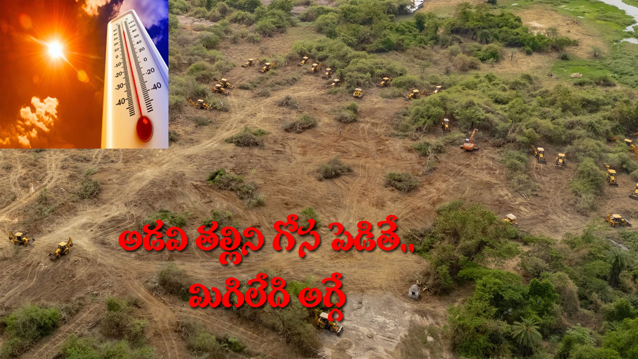 HCU Lands | పారాహుషార్!! హైదరాబాద్లో 1 నుంచి 4 డిగ్రీలు పెరగనున్న ఉష్ణోగ్రతలు! HCU Lands | పారాహుషార్!! హైదరాబాద్లో 1 నుంచి 4 డిగ్రీలు పెరగనున్న ఉష్ణోగ్రతలు!