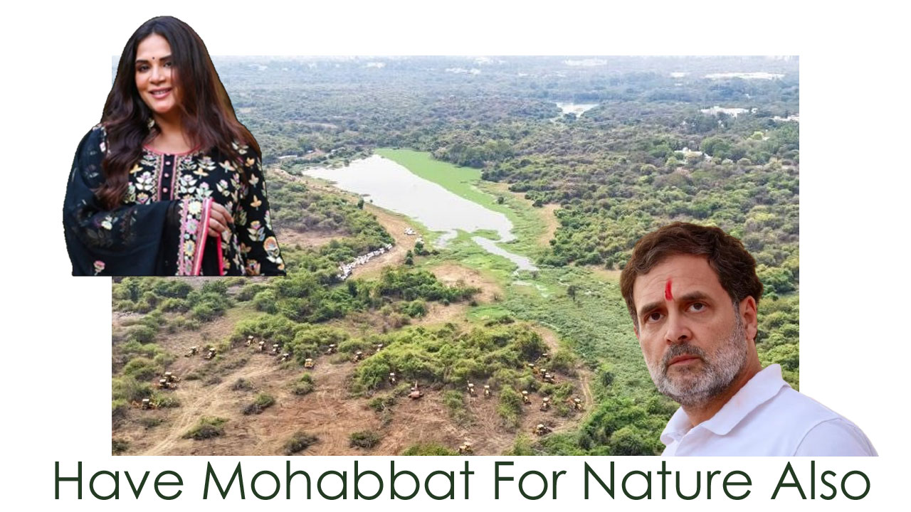 Richa Chadda | రాహుల్ గాంధీ ‘ప్రేమ’ను కోరిన బాలీవుడ్ తార.. దేనిపైనంటే.. Richa Chadda | రాహుల్ గాంధీ ‘ప్రేమ’ను కోరిన బాలీవుడ్ తార.. దేనిపైనంటే..