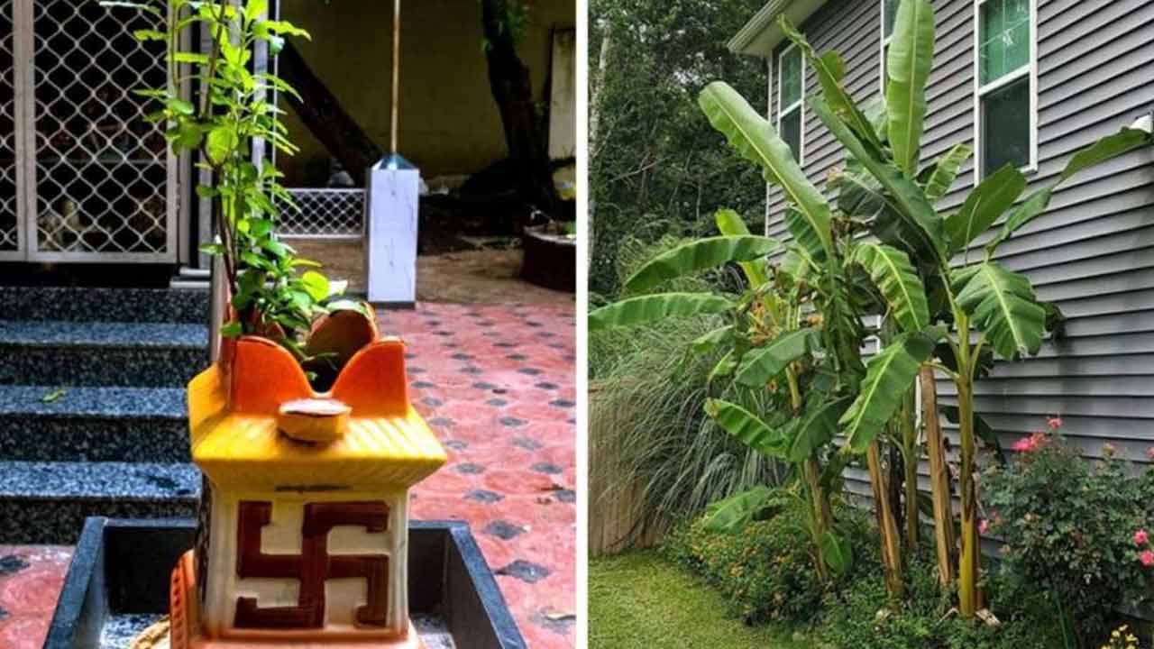 Vastu Tips | మీ ఇంట్లో ఈ ఐదు చెట్లు ఉంటే.. వాస్తు దోషాలు తొలగిపోయినట్టే..! Vastu Tips | మీ ఇంట్లో ఈ ఐదు చెట్లు ఉంటే.. వాస్తు దోషాలు తొలగిపోయినట్టే..!
