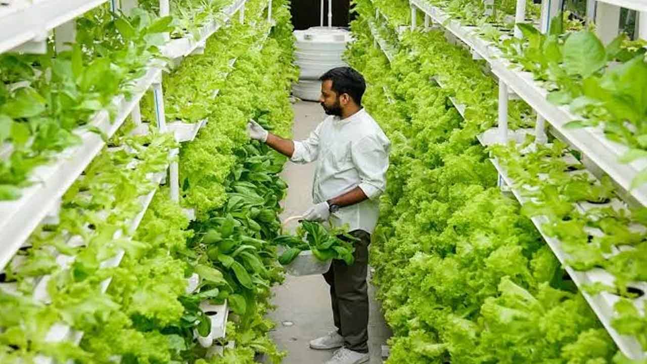 Vertical Farming | రైతులకు శుభవార్త.. వర్టికల్ వ్యవసాయానికి రూ. 2 కోట్ల రుణాలు.. దరఖాస్తు చేసుకోండి ఇలా..! Vertical Farming | రైతులకు శుభవార్త.. వర్టికల్ వ్యవసాయానికి రూ. 2 కోట్ల రుణాలు.. దరఖాస్తు చేసుకోండి ఇలా..!