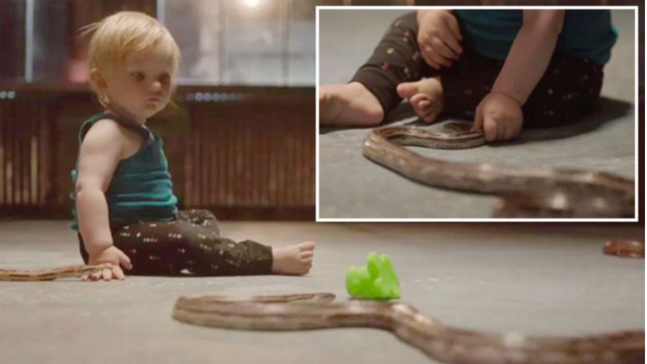 Babies and Snakes | పాముల మధ్య బుజ్జిపాపాయిలా? ఇదేం ప్రయోగంరా నాయనా.. (వీడియో) Babies and Snakes | పాముల మధ్య బుజ్జిపాపాయిలా? ఇదేం ప్రయోగంరా నాయనా.. (వీడియో)