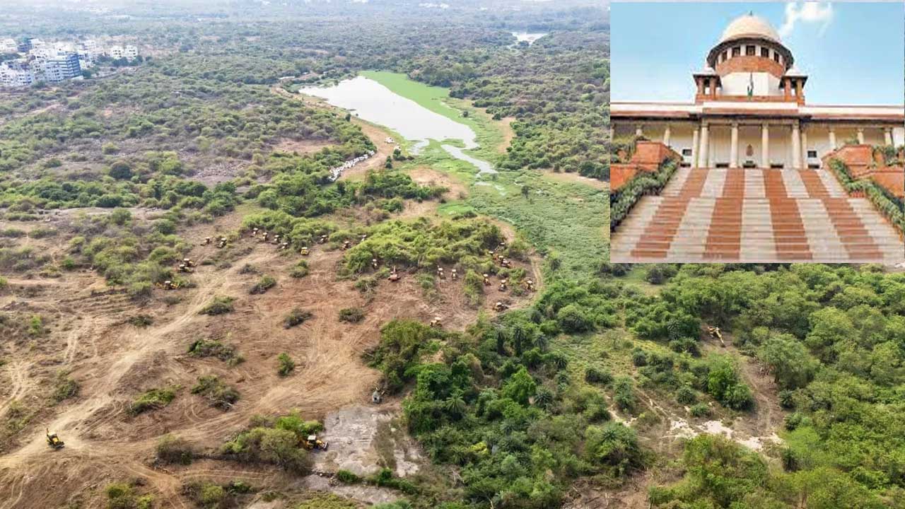 Kanche Gachibowli lands: పర్యావరణం పునరుద్ధరించకపోతే జైలుకు వెళ్లాల్సిందే : సుప్రీంకోర్టు Kanche Gachibowli lands: పర్యావరణం పునరుద్ధరించకపోతే జైలుకు వెళ్లాల్సిందే : సుప్రీంకోర్టు