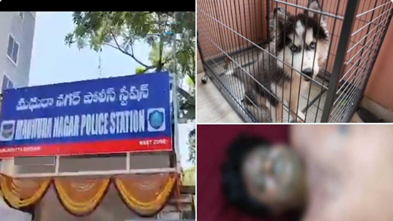 Pet Dog’s Trust: మృతుడి మర్మాంగాలకు గాయాలు..కుక్క వల్ల కాదు! Pet Dog’s Trust: మృతుడి మర్మాంగాలకు గాయాలు..కుక్క వల్ల కాదు!