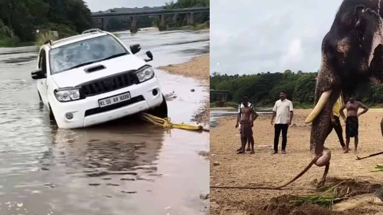 Elephant | నదిలో చిక్కుకున్న 2 వేల కిలోల కారు.. లాగి పడేసిన ఏనుగు.. వీడియో Elephant | నదిలో చిక్కుకున్న 2 వేల కిలోల కారు.. లాగి పడేసిన ఏనుగు.. వీడియో