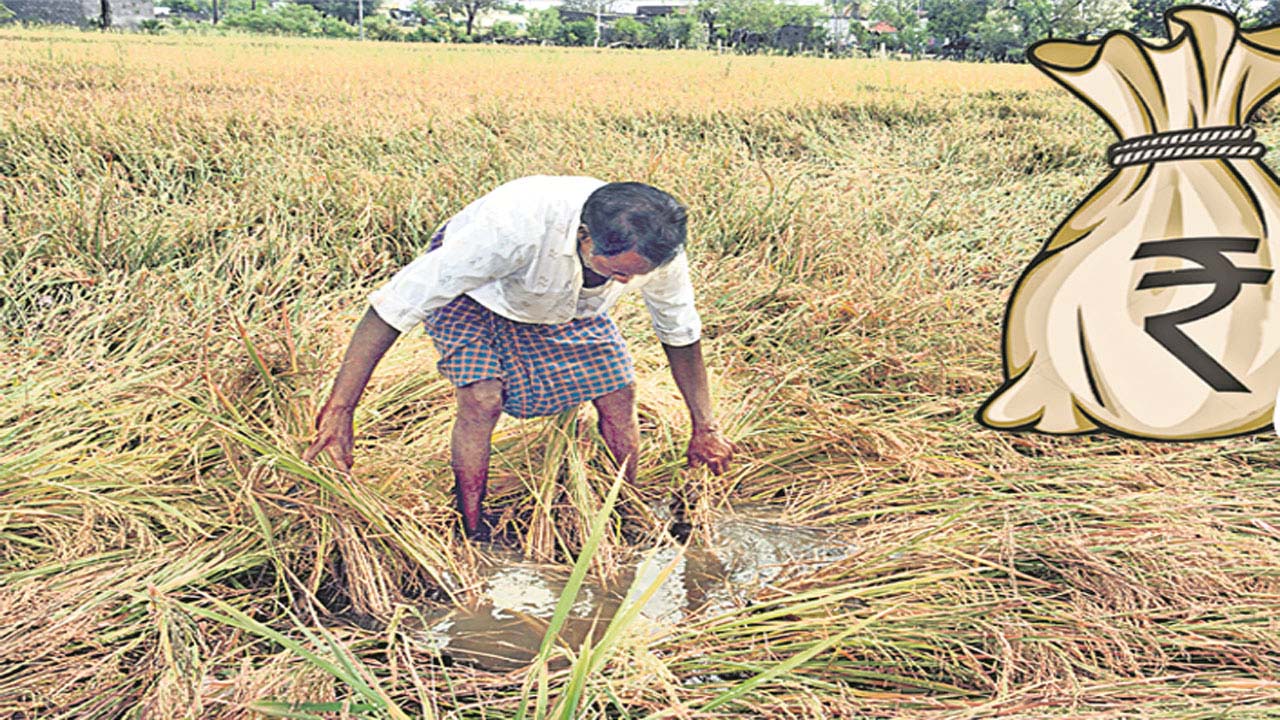Assigned Land Rights Telangana| అసైనీలకు ‘హక్కులు ఇంకెప్పుడు? యాజమాన్య హక్కుల కోసం ఎదురుచూపు Assigned Land Rights Telangana| అసైనీలకు ‘హక్కులు ఇంకెప్పుడు? యాజమాన్య హక్కుల కోసం ఎదురుచూపు