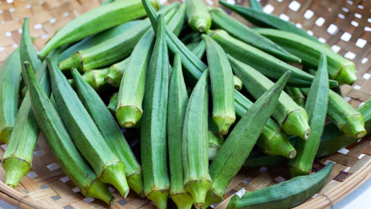 Lady Finger | మీరు షుగర్తో బాధపడుతున్నారా..? బెండకాయతో తగ్గించుకోండిలా..! Lady Finger | మీరు షుగర్తో బాధపడుతున్నారా..? బెండకాయతో తగ్గించుకోండిలా..!