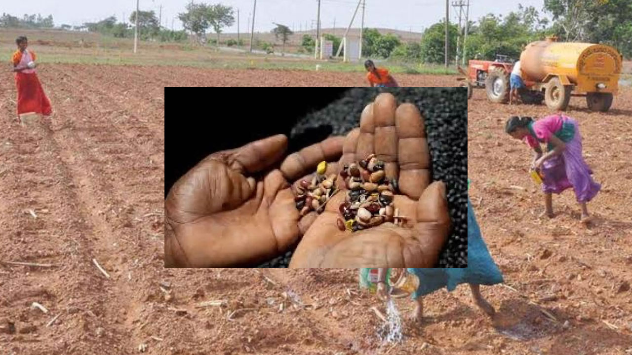 Fake seeds | మార్కెట్లోకి నకిలీ విత్తనాలొస్తున్నాయి.. రైతన్నాజర భద్రం! Fake seeds | మార్కెట్లోకి నకిలీ విత్తనాలొస్తున్నాయి.. రైతన్నాజర భద్రం!