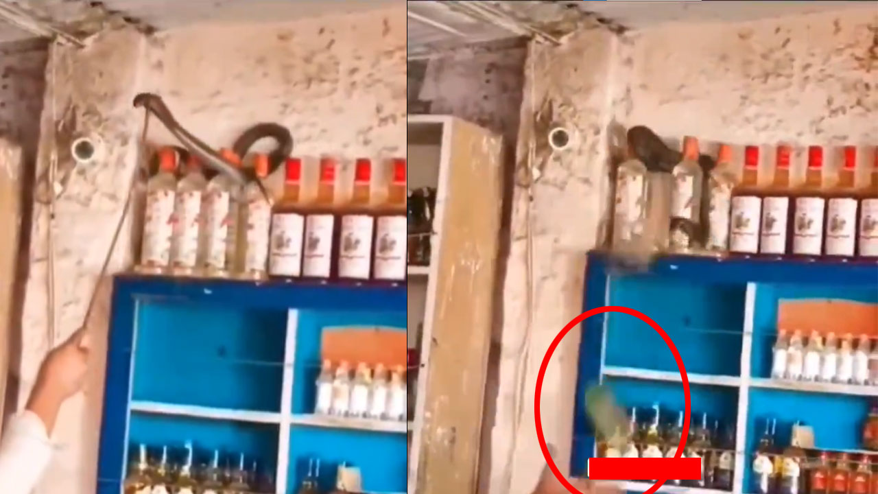 Viral | వైన్ షాప్లోకి పాము! తొక్కలో ప్రాణం.. బాటిలే ముఖ్యమన్న మందుబాబు! (వీడియో) Viral | వైన్ షాప్లోకి పాము! తొక్కలో ప్రాణం.. బాటిలే ముఖ్యమన్న మందుబాబు! (వీడియో)
