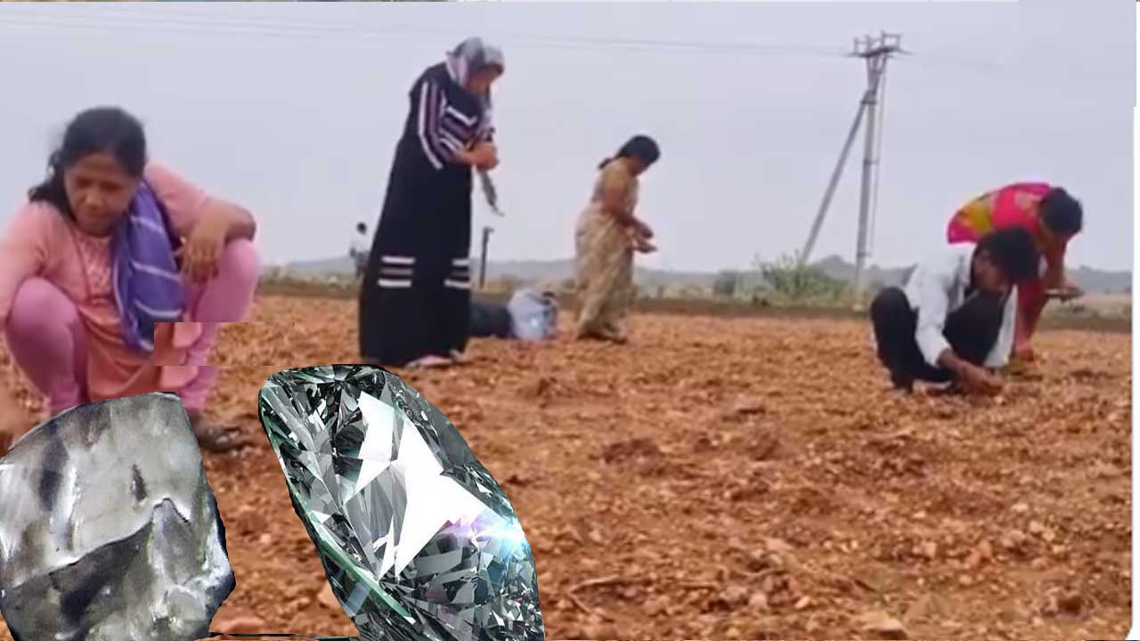 Diamond Hunting: వజ్రాల వేటలో జాక్ పాట్..రూ.30లక్షల వజ్రం! Diamond Hunting: వజ్రాల వేటలో జాక్ పాట్..రూ.30లక్షల వజ్రం!