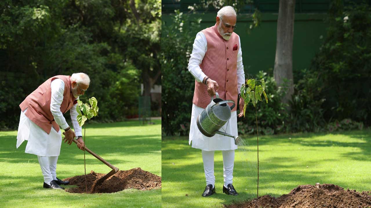 PM Modi: సిందూర్ మొక్కను నాటిన ప్రధాని మోదీ PM Modi: సిందూర్ మొక్కను నాటిన ప్రధాని మోదీ