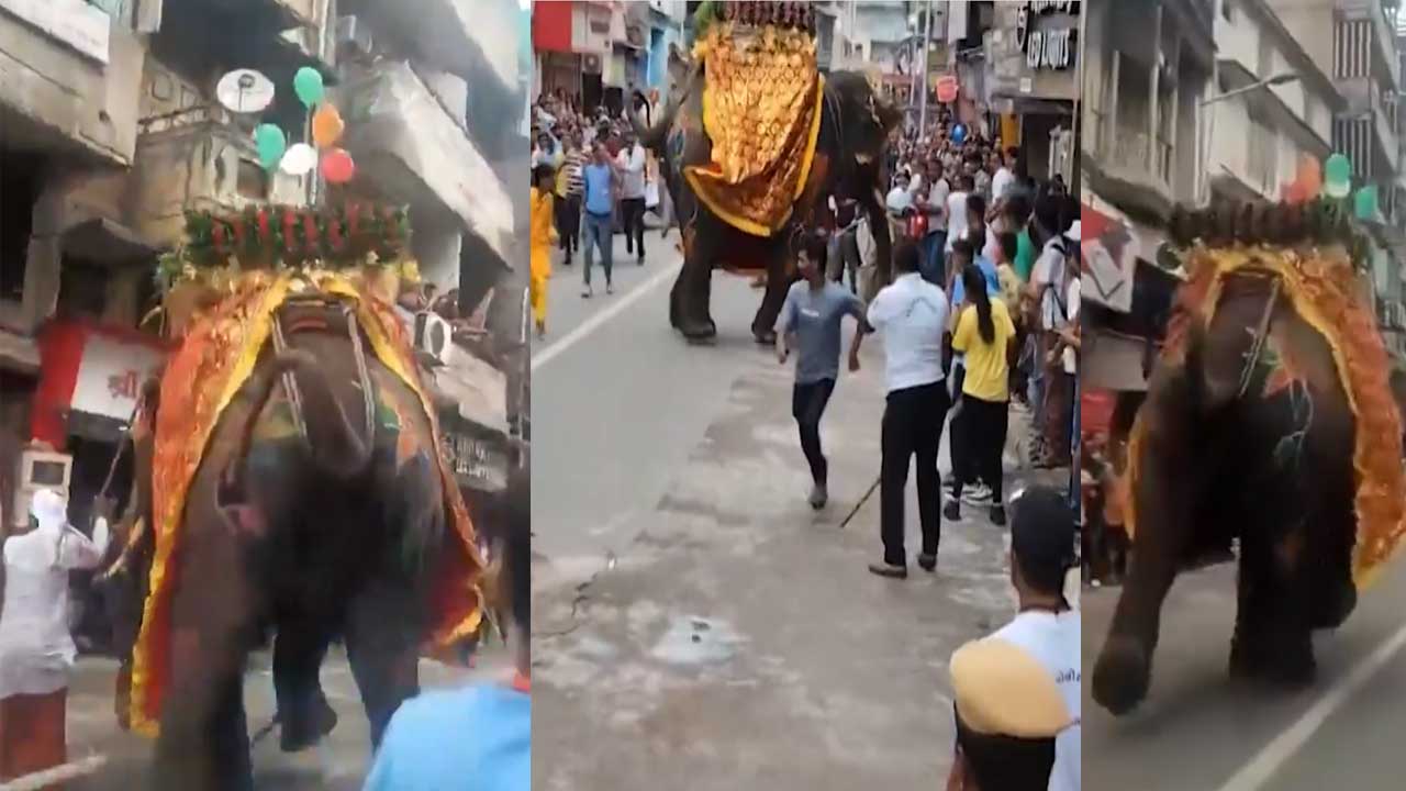 Elephant Attacks| జగన్నాథ రథయాత్రలో అపశృతి..భక్తులపై దూసుకెళ్లిన ఏనుగు Elephant Attacks| జగన్నాథ రథయాత్రలో అపశృతి..భక్తులపై దూసుకెళ్లిన ఏనుగు