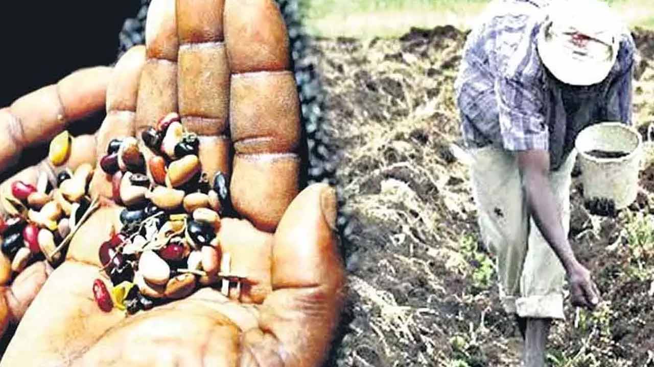 Fake Seeds | నకిలీ విత్తనాలతో నష్టపోతే పరిహారం వస్తుందా..? సుప్రీంకోర్టు తీర్పు ఏం చెబుతున్నది..? Fake Seeds | నకిలీ విత్తనాలతో నష్టపోతే పరిహారం వస్తుందా..? సుప్రీంకోర్టు తీర్పు ఏం చెబుతున్నది..?