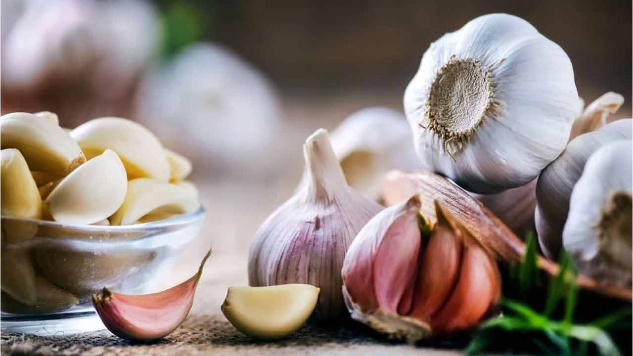 Garlic Benefits | ‘వెల్లుల్లి’ ఆరోగ్య వర ప్రదాయిని.. రోజుకు ఒకటి తింటే బోలెడన్ని ప్రయోజనాలు..! Garlic Benefits | ‘వెల్లుల్లి’ ఆరోగ్య వర ప్రదాయిని.. రోజుకు ఒకటి తింటే బోలెడన్ని ప్రయోజనాలు..!