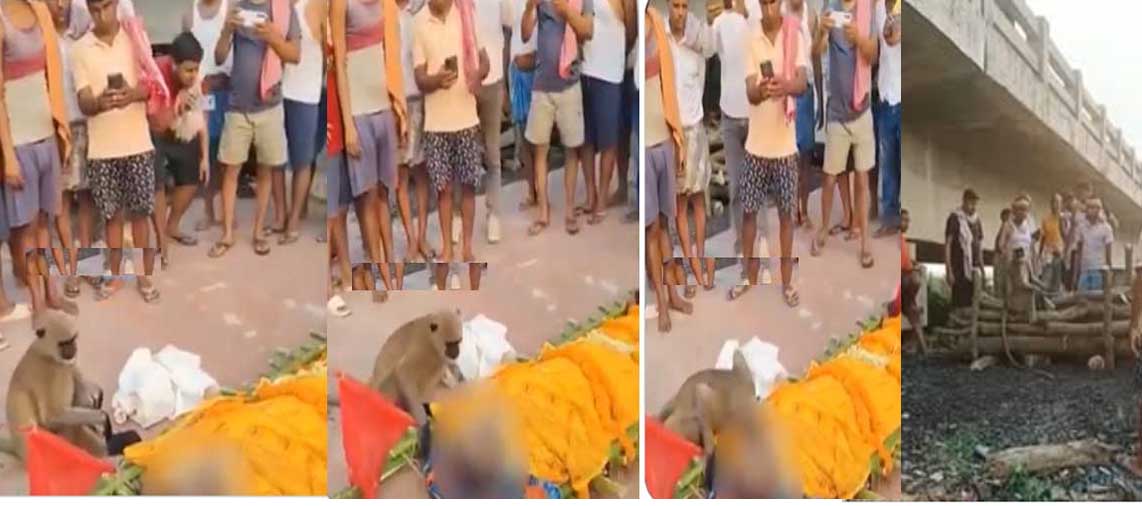 Monkey’s Faith: వానరం విశ్వాసం..ఉపకారి అంత్యక్రియలకు హాజరై..! Monkey’s Faith: వానరం విశ్వాసం..ఉపకారి అంత్యక్రియలకు హాజరై..!