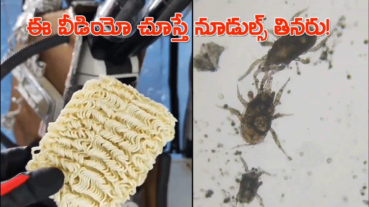 Viral Video | ఈ వీడియో చూస్తే జన్మలో నూడుల్స్ తినరు! Viral Video | ఈ వీడియో చూస్తే జన్మలో నూడుల్స్ తినరు!