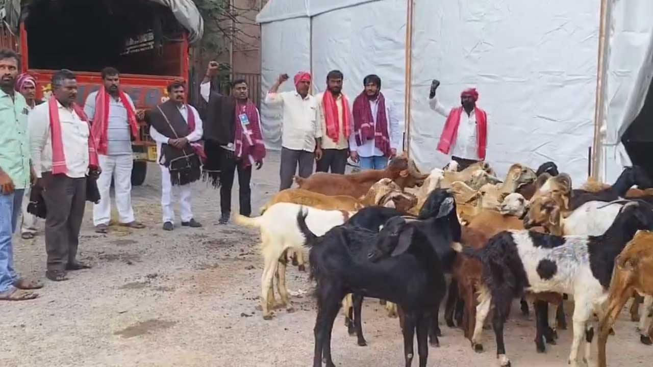 Gandhi Bhavan: గాంధీభవన్ లోకి గొర్రెల మందతో నిరసన! Gandhi Bhavan: గాంధీభవన్ లోకి గొర్రెల మందతో నిరసన!