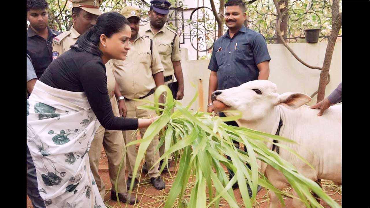 Vijayashanti: గోసంరక్షణ ముసుగులో బీజేపీ మత రాజకీయాలు : విజయశాంతి Vijayashanti: గోసంరక్షణ ముసుగులో బీజేపీ మత రాజకీయాలు : విజయశాంతి