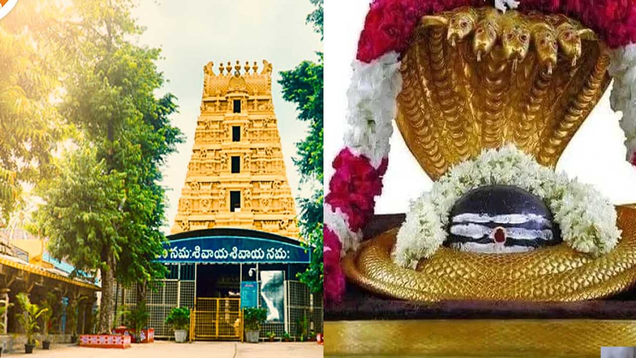 Srisailam Temple Sparsha Darshan| శ్రీశైలంలో స్పర్శ దర్శనం పునః ప్రారంభం Srisailam Temple Sparsha Darshan| శ్రీశైలంలో స్పర్శ దర్శనం పునః ప్రారంభం
