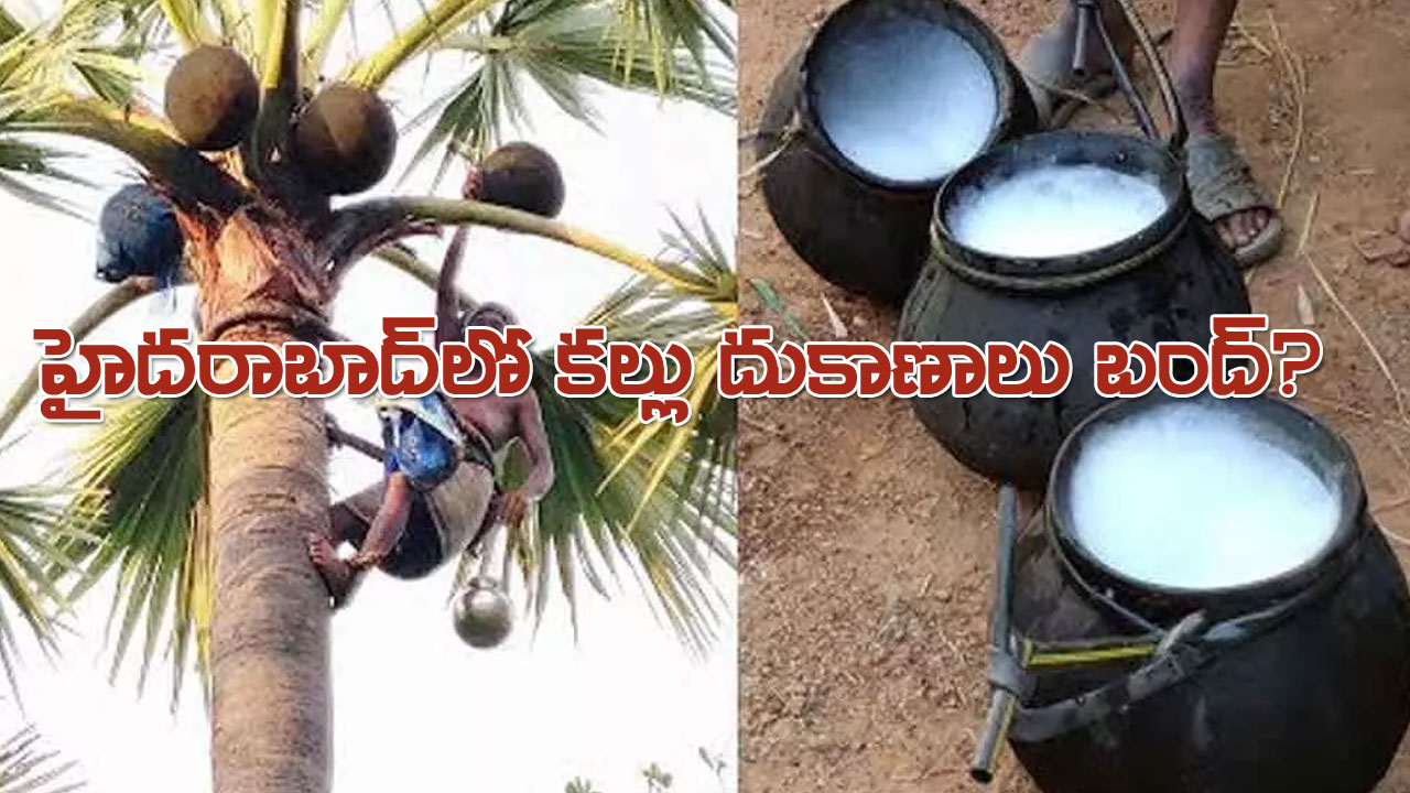 ADULTERATED TODDY | తాటిచెట్లే లేవు.. కానీ.. ఫుల్లుగా కల్లు!.. హైదరాబాద్లో కల్లు దుకాణాల మూత? ADULTERATED TODDY | తాటిచెట్లే లేవు.. కానీ.. ఫుల్లుగా కల్లు!.. హైదరాబాద్లో కల్లు దుకాణాల మూత?