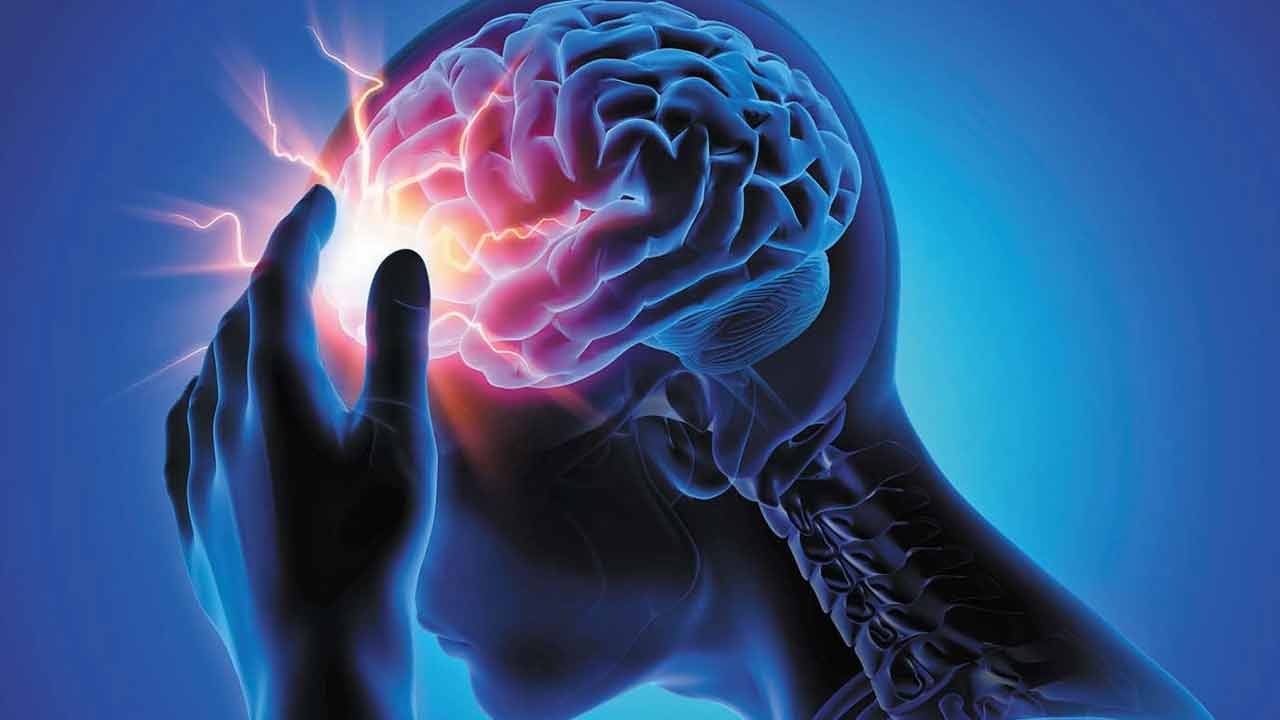 Brain | సబ్బులూ, టూత్ పేస్టులతో మెదడుకు ప్రమాదమా? Brain | సబ్బులూ, టూత్ పేస్టులతో మెదడుకు ప్రమాదమా?