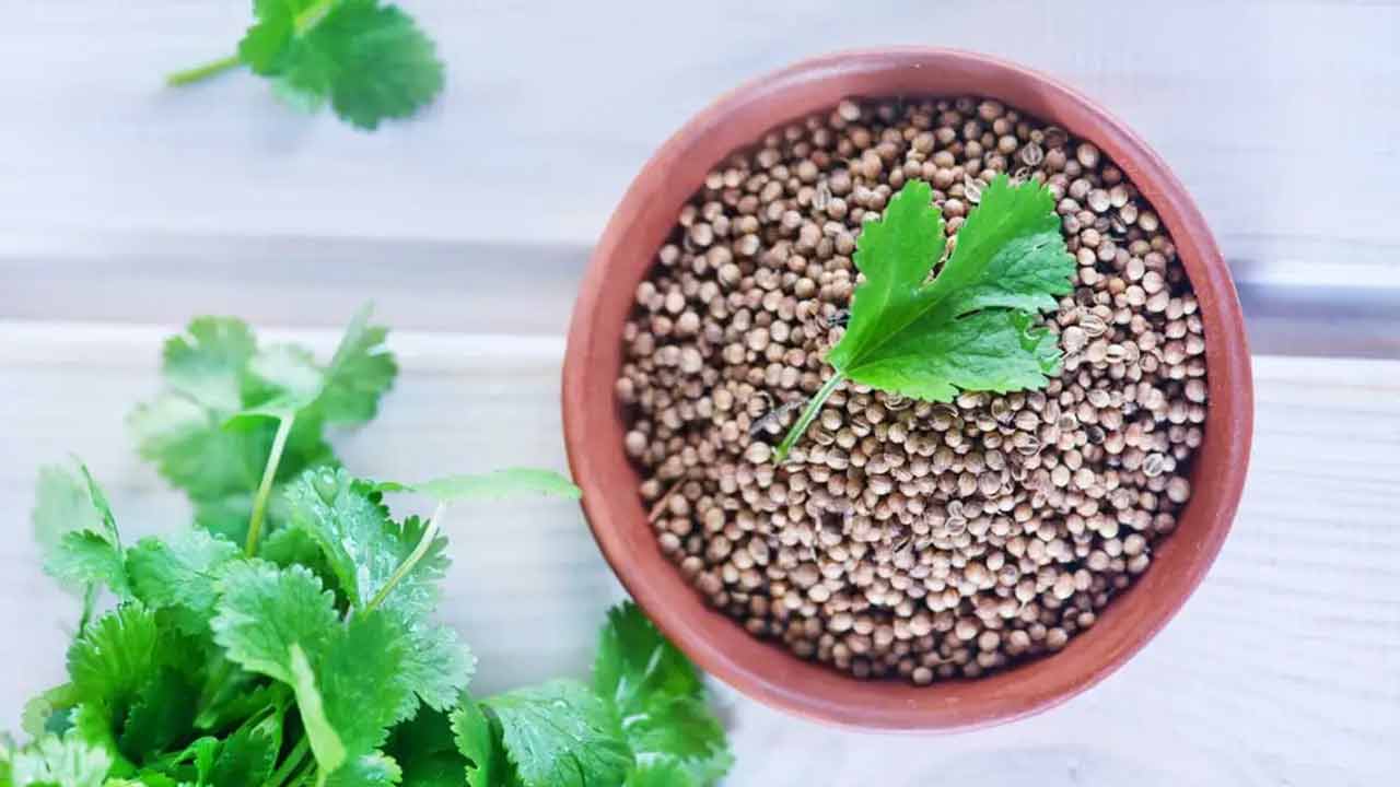 Coriandrum Seeds | కొత్తిమీర గింజలు.. గుండె ఆరోగ్యానికి వరం..! Coriandrum Seeds | కొత్తిమీర గింజలు.. గుండె ఆరోగ్యానికి వరం..!