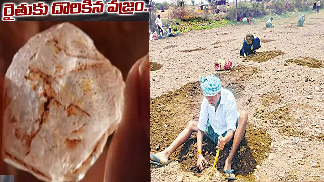 Farmer Finds Diamond| రైతుకు దొరికిన ఖరీదైన వజ్రం Farmer Finds Diamond| రైతుకు దొరికిన ఖరీదైన వజ్రం