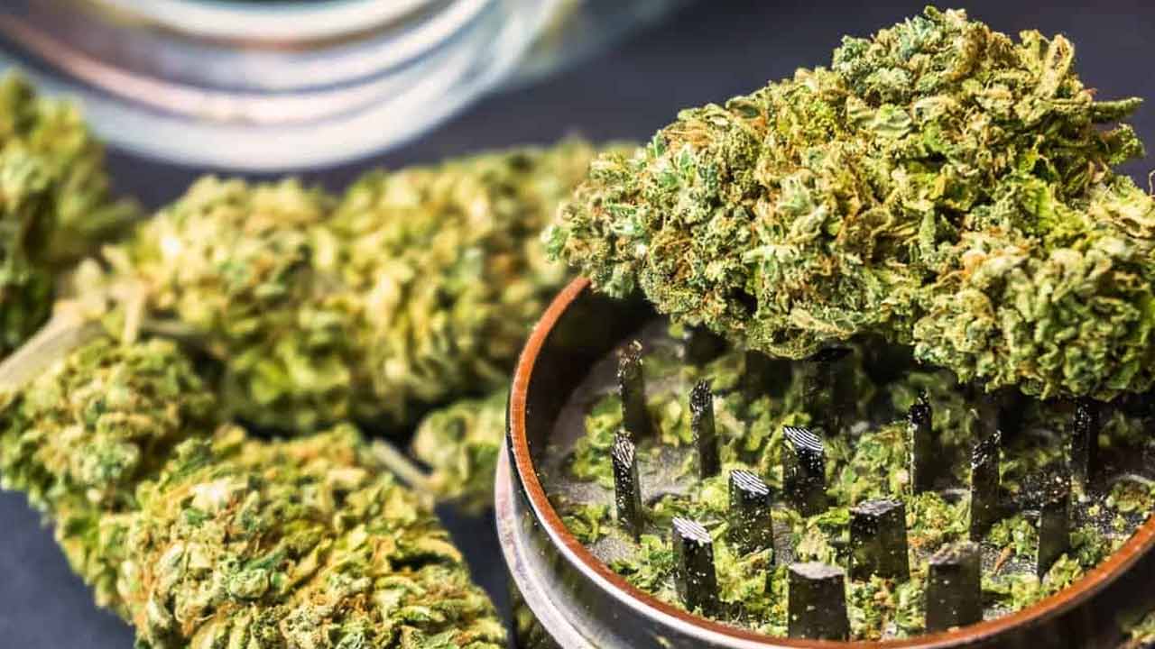 Ganja | శంషాబాద్ ఎయిర్‌పోర్టులో 40 కిలోల గంజాయి సీజ్.. మ‌హిళ అరెస్ట్