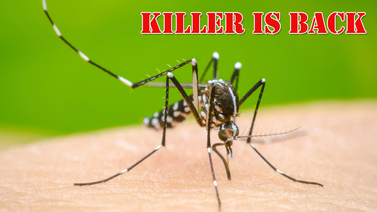 Dengue Alert | డెంగ్యూ మళ్లీ వచ్చేసింది.. భద్రం! Dengue Alert | డెంగ్యూ మళ్లీ వచ్చేసింది.. భద్రం!