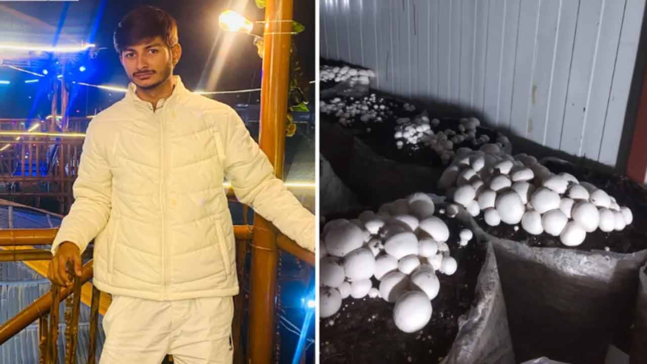 Mushroom Farming | పుట్టగొడుగుల సాగు.. ఏడాదికి రూ. 18 లక్షలు సంపాదిస్తున్న స్కూల్ పిల్లాడు.. Mushroom Farming | పుట్టగొడుగుల సాగు.. ఏడాదికి రూ. 18 లక్షలు సంపాదిస్తున్న స్కూల్ పిల్లాడు..