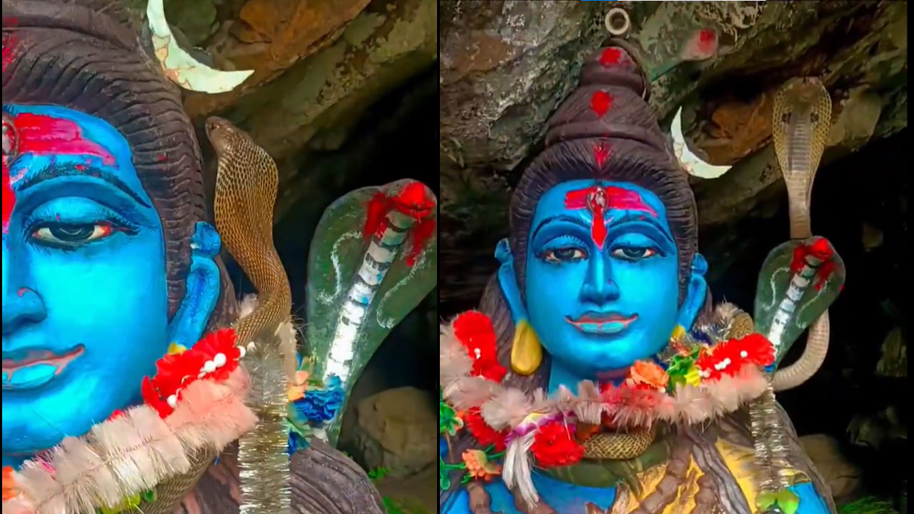 Snake Video Viral | మహా శివుడికి నాగాభరణం..వైరల్ గా వీడియో Snake Video Viral | మహా శివుడికి నాగాభరణం..వైరల్ గా వీడియో