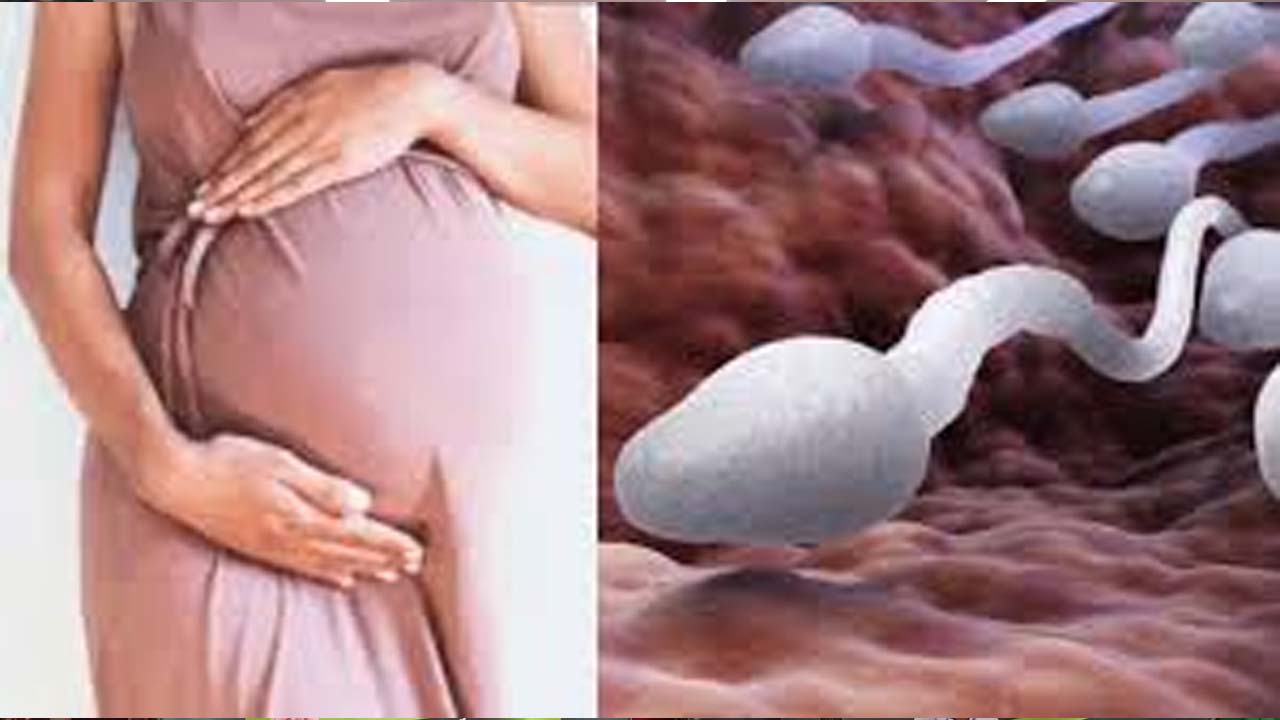 Shrusti Fertility| సరోగసి కాదు.. చైల్డ్ ట్రాఫికింగ్ Shrusti Fertility| సరోగసి కాదు.. చైల్డ్ ట్రాఫికింగ్