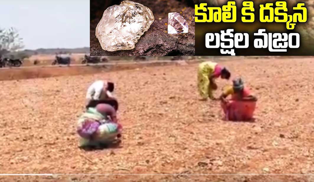 Diamond Hunt| కూలీ చేతికి దొరికిన రూ.40లక్షల వజ్రం! Diamond Hunt| కూలీ చేతికి దొరికిన రూ.40లక్షల వజ్రం!