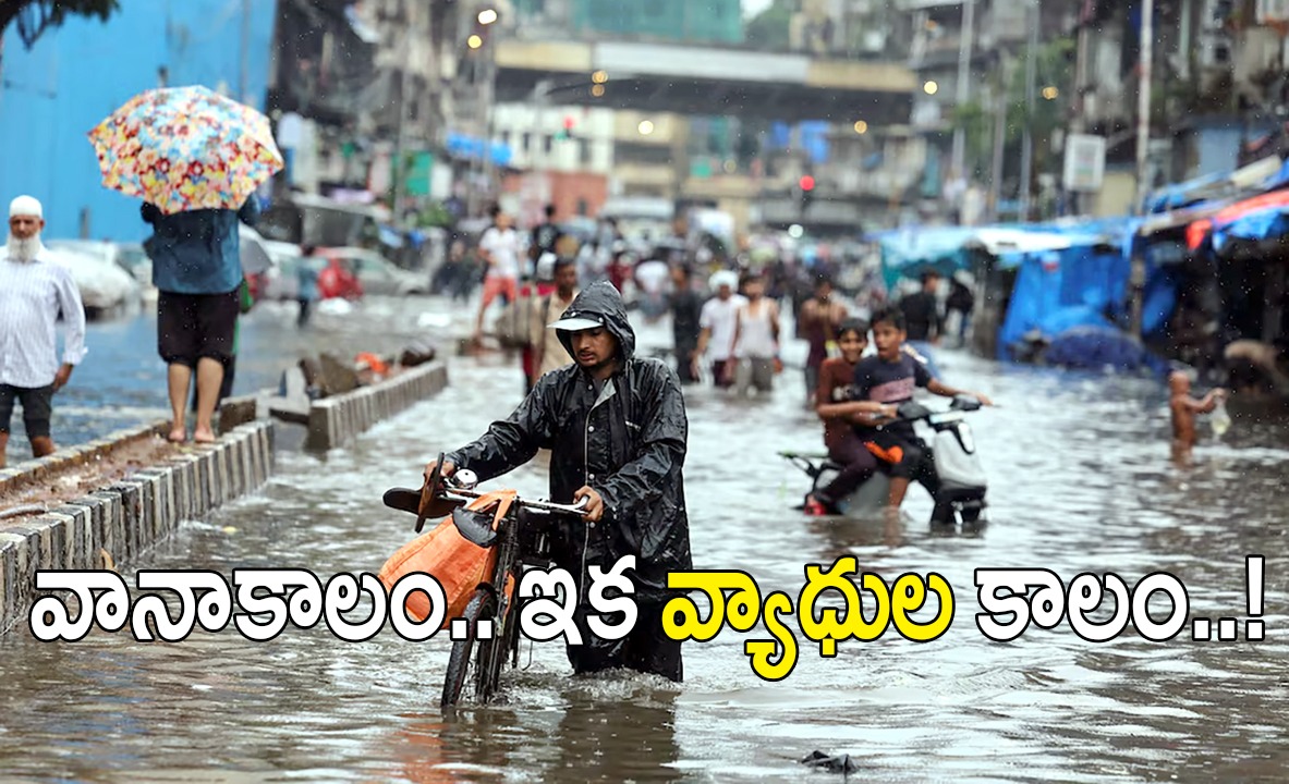 Seasonal Diseases | ఇది వర్షాకాలం వ్యాధుల సీజన్ : జలుబు నుండి డెంగీ వరకు.. ఎలా కాపాడుకుందాం.? Seasonal Diseases | ఇది వర్షాకాలం వ్యాధుల సీజన్ : జలుబు నుండి డెంగీ వరకు.. ఎలా కాపాడుకుందాం.?