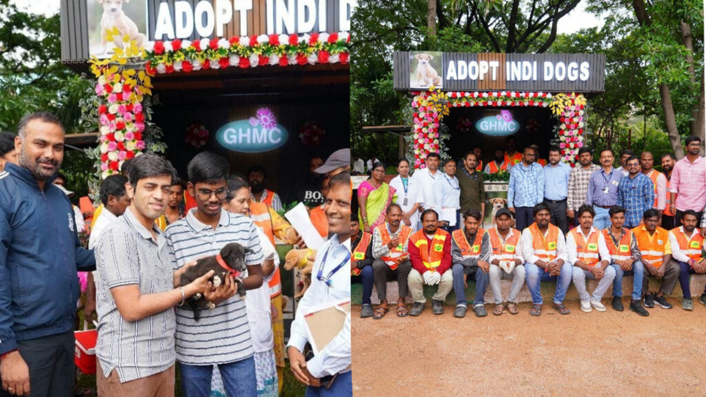 ghmc-indie-puppy-adoption-mela-hyderabad-rv-karnan