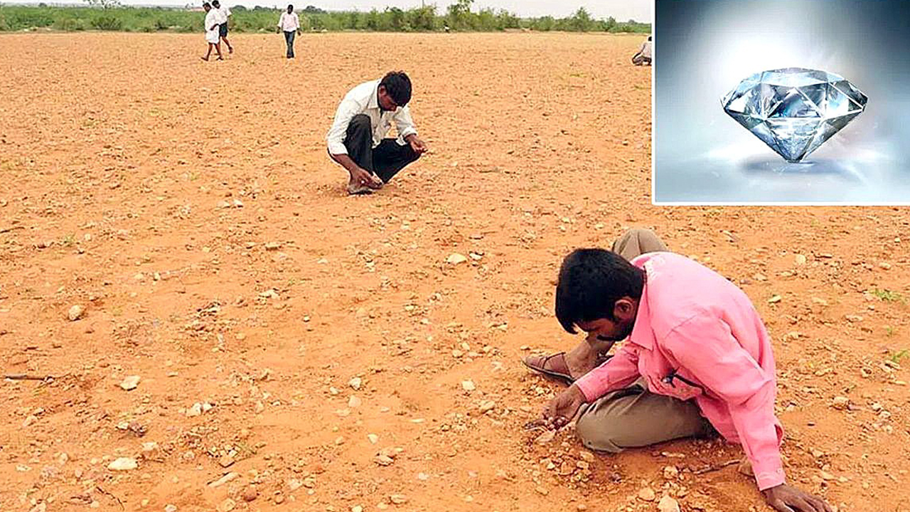 Rayalaseema Diamonds | రాయలసీమ : వర్షాలతో మళ్లీ జోరుగా వజ్రాల వేట Rayalaseema Diamonds | రాయలసీమ : వర్షాలతో మళ్లీ జోరుగా వజ్రాల వేట