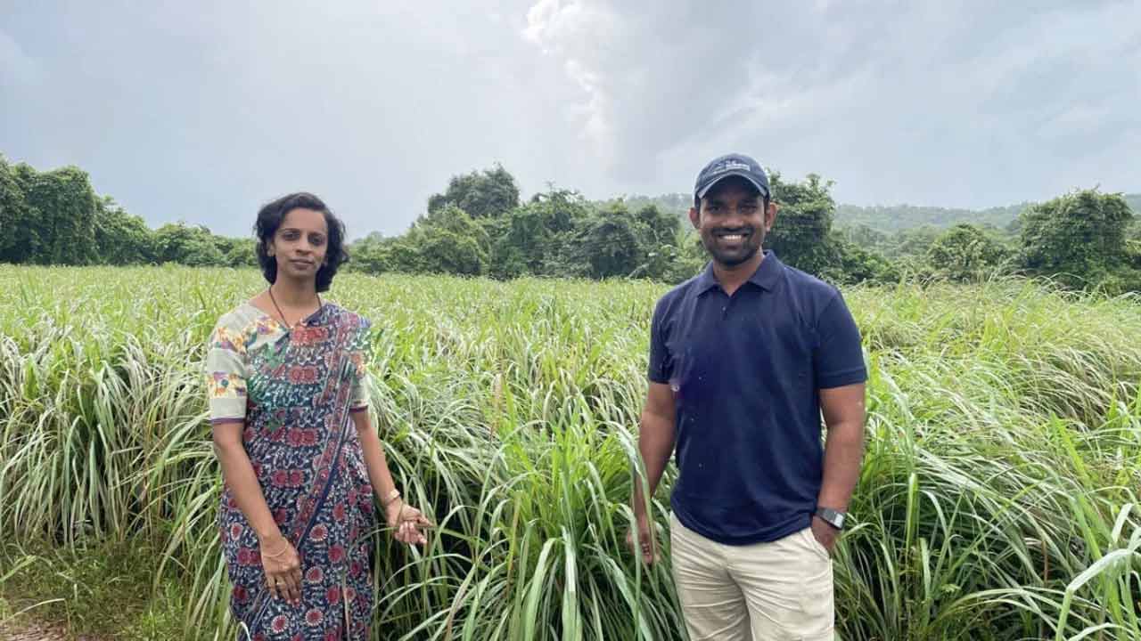 Lemongrass Farming | కాసుల వర్షం కురిపిస్తున్న ‘నిమ్మ గడ్డి’.. ఏడాదికి రూ. 30 లక్షలు సంపాదిస్తున్న సాఫ్ట్వేర్ దంపతులు Lemongrass Farming | కాసుల వర్షం కురిపిస్తున్న ‘నిమ్మ గడ్డి’.. ఏడాదికి రూ. 30 లక్షలు సంపాదిస్తున్న సాఫ్ట్వేర్ దంపతులు