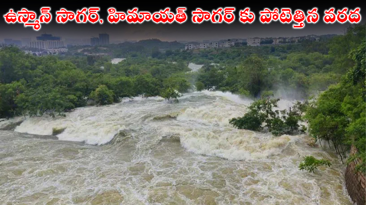Telangana : ఉస్మాన్ సాగర్, హిమాయత్ సాగర్ కు పోటెత్తిన వరద: మూసీలో వరద ఉధృతి Telangana : ఉస్మాన్ సాగర్, హిమాయత్ సాగర్ కు పోటెత్తిన వరద: మూసీలో వరద ఉధృతి