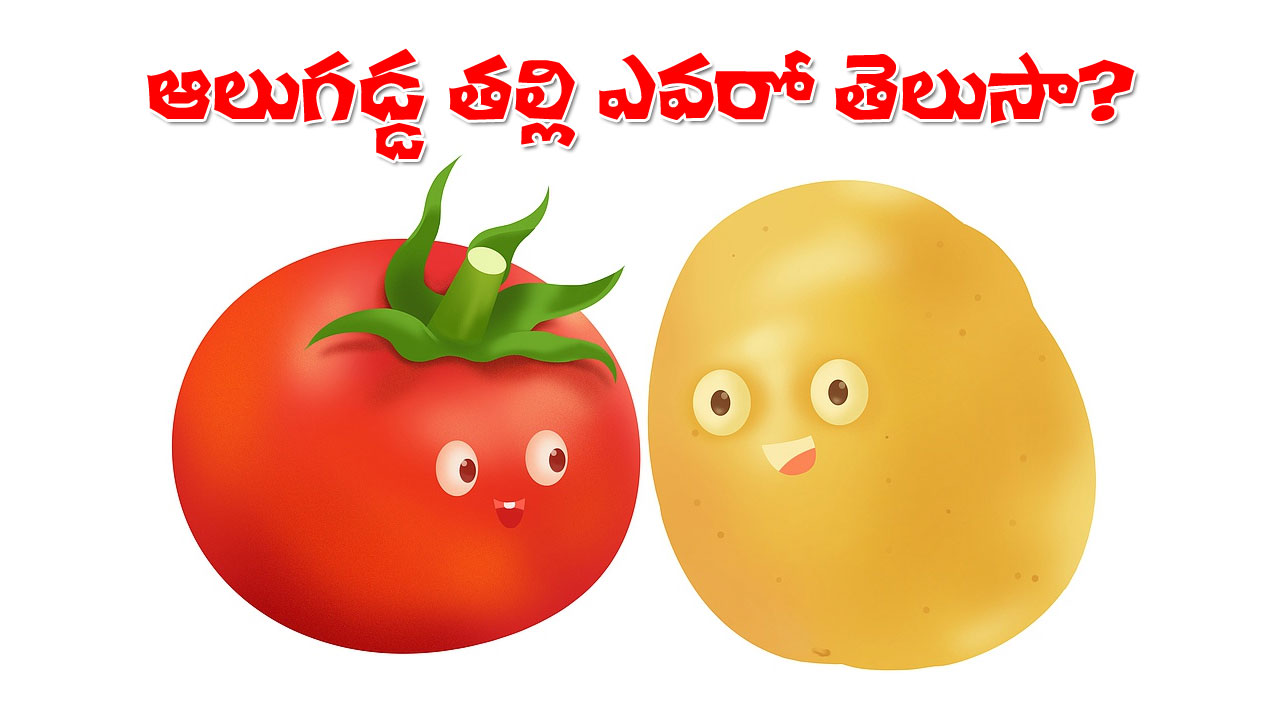 Potato Mother | ఆలుగడ్డ తల్లిదండ్రులెవరో తెలుసా? Potato Mother | ఆలుగడ్డ తల్లిదండ్రులెవరో తెలుసా?