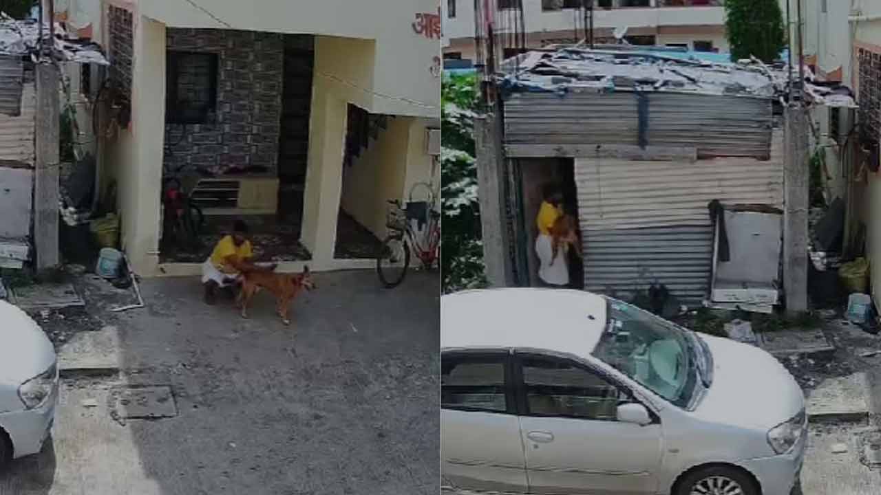 Shocking Video | వీడు మనిషా.. పశువా..! కుక్కపై లైంగికదాడి..!! Shocking Video | వీడు మనిషా.. పశువా..! కుక్కపై లైంగికదాడి..!!