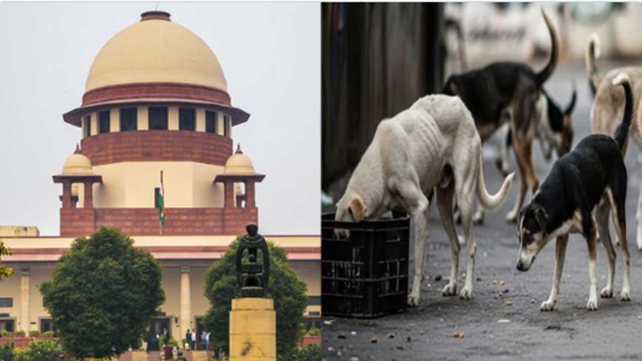 Supreme Court Stray Dog Case| వీధి కుక్కల బెడదపై సుప్రీంకోర్టు ఉత్తర్వుల సవరణ Supreme Court Stray Dog Case| వీధి కుక్కల బెడదపై సుప్రీంకోర్టు ఉత్తర్వుల సవరణ