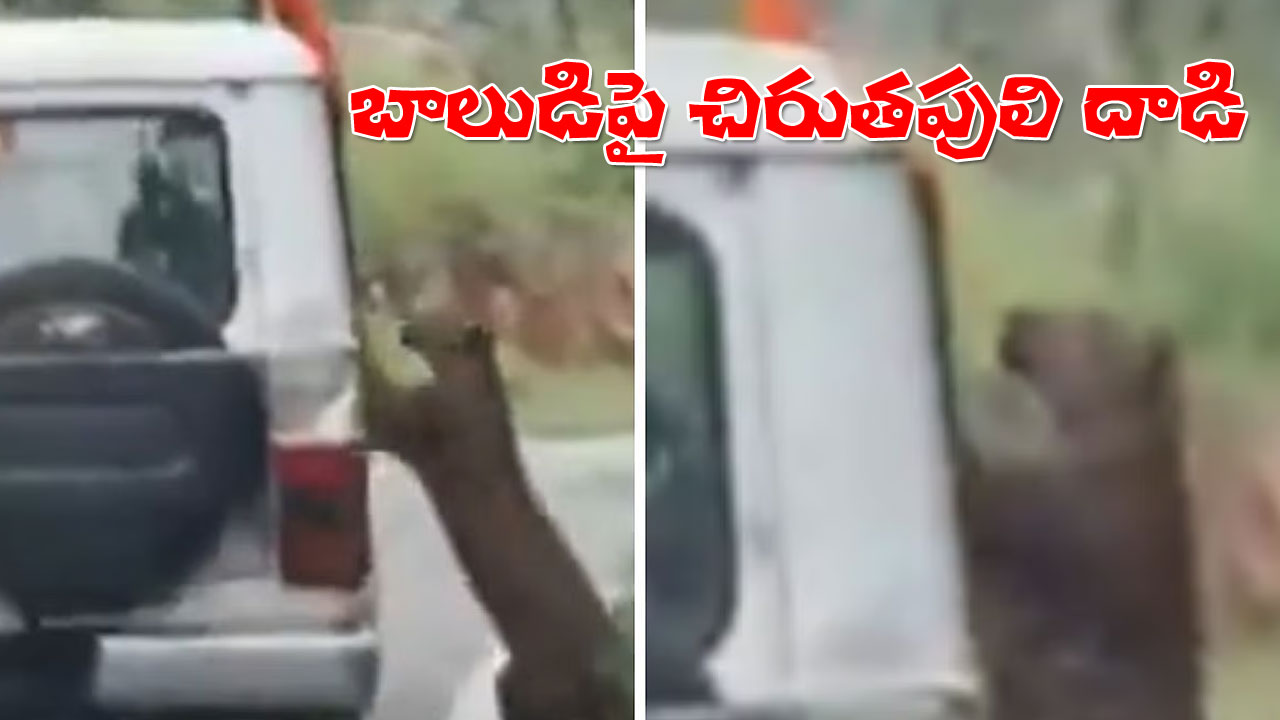 Terrifying Video: Leopard Attack | సఫారీలో బాలుడిపై చిరుతపులి దాడి.. బెంగళూరులోని బన్నేర్ఘట్టలో ఘటన Terrifying Video: Leopard Attack | సఫారీలో బాలుడిపై చిరుతపులి దాడి.. బెంగళూరులోని బన్నేర్ఘట్టలో ఘటన