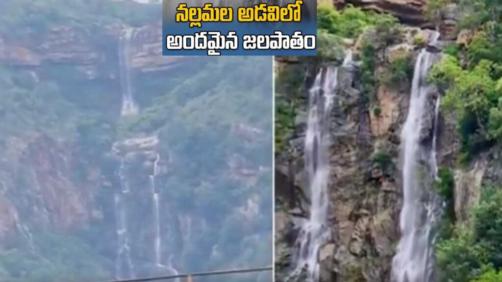 nallamala-new-waterfall-srisailam