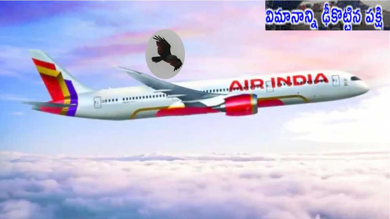 Air IndiaFlight| ఏయిర్ ఇండియా విమానానికి తప్పిన ముప్పు..ప్రయాణికులు క్షేమం Air IndiaFlight| ఏయిర్ ఇండియా విమానానికి తప్పిన ముప్పు..ప్రయాణికులు క్షేమం