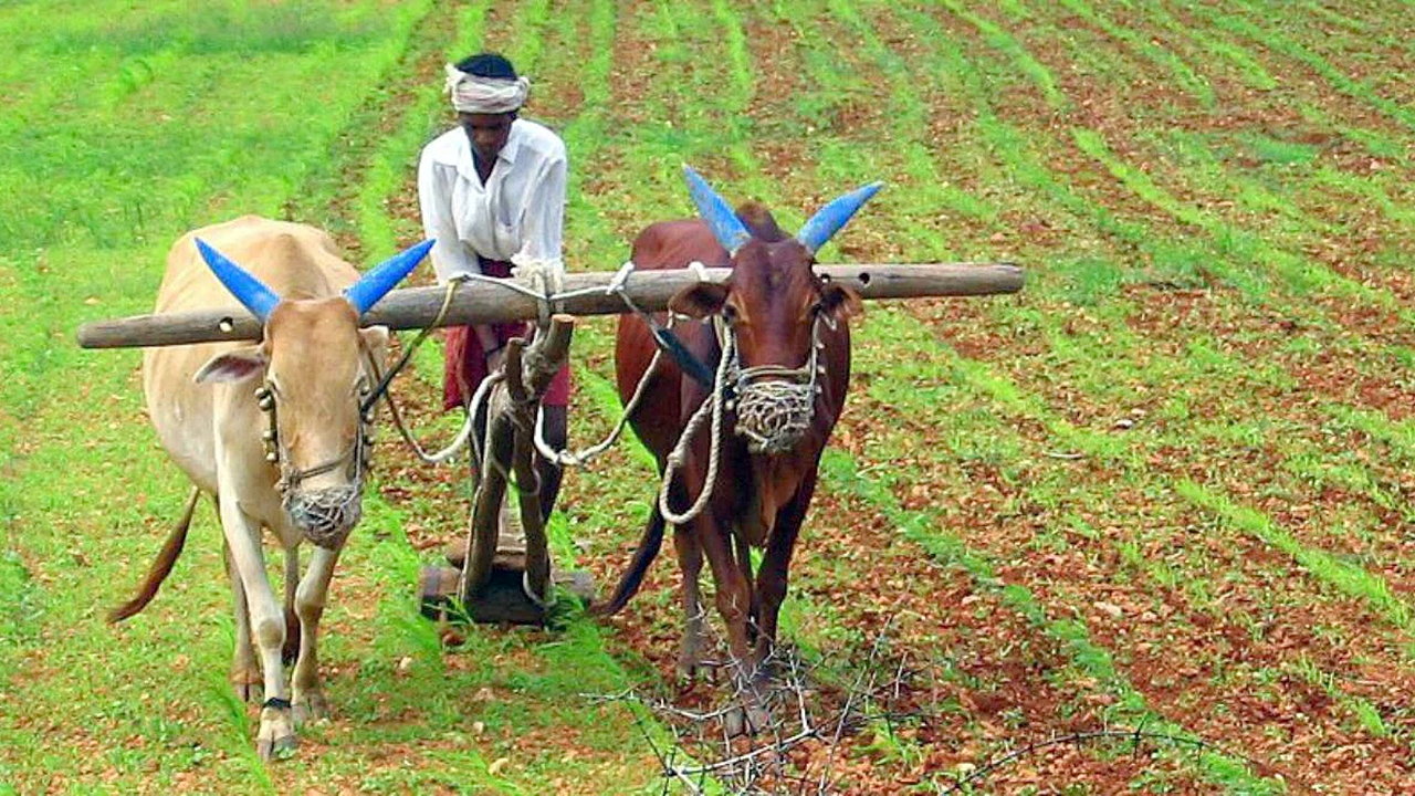 Annadata Sukhibhava & PM Kisan Funds to be Credited in AP Farmers’ Accounts by October